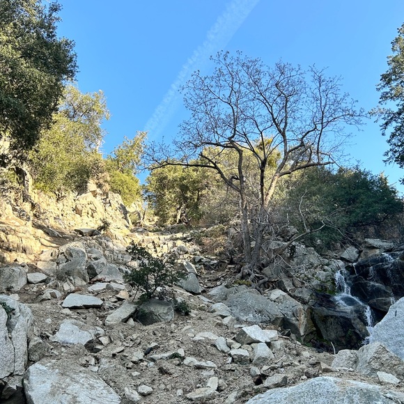 Meet your Posher, Abeee - Picture 3 of 5